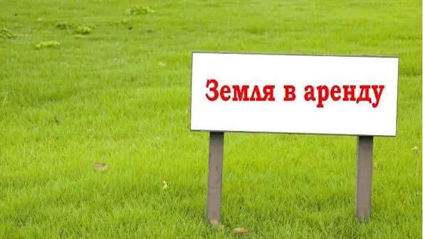 Images (7)